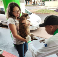 Campanha de Vacinação Antirrábica começa nesta quinta-feira