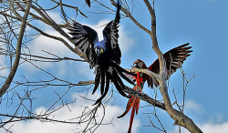 Semana de sol, temperatura agradável e tempo seco em Mato Grosso do Sul