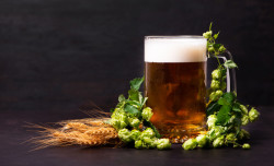 Brasil exportou 42% a mais o valor de cerveja