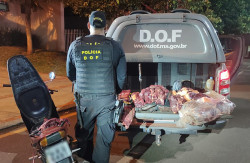 Carne bovina acondicionada em motocicleta é apreendida pelo DOF