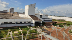 Tribunal de Justiça nega recurso do MP para instalar bloqueador de celular na PED