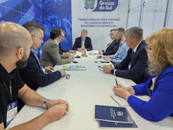 Governo discute parcerias para desenvolvimento de aves e peixes em MS