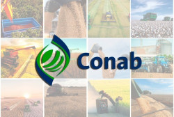 Produção de grãos no Brasil deve alcançar 298,6 milhões de toneladas