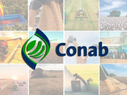 Produção de grãos no Brasil deve alcançar 298,6 milhões de toneladas