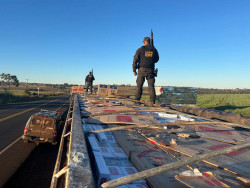 DOF apreende carga milionária de cigarros na fronteira com Paraguai