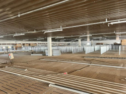 Suinocultura de MS terá a 1ª central de sêmen a partir de novembro