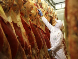 Abate de bovinos, suínos e frangos cresce no 2° trimestre