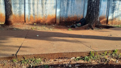 Homem é encontrado morto ao lado de escola em Dourados