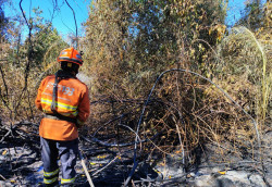 Pantanal registra umidade de 10% e focos ativos em diferentes regiões