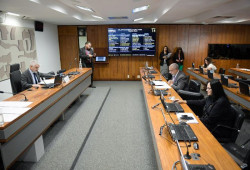 Licença-maternidade prorrogada em caso de internação vai à Câmara dos Deputados