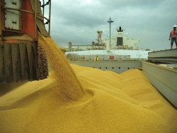 Anec prevê exportação de 2,240 milhões de t de farelo de soja em agosto