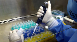 Saúde confirma primeiro caso autóctone de Febre Oropouche em MS