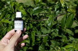 Termo para Farmácia Viva será assinado no Meeting Nacional