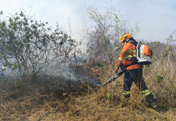 Bombeiros mantêm extinção de chamas e resgates no Pantanal