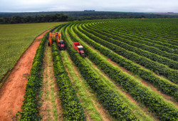 Com ano safra completo, desembolso do crédito rural chega a R$ 400,7 bilhões