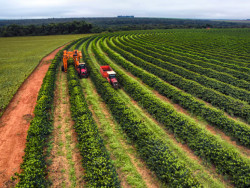 Com ano safra completo, desembolso do crédito rural chega a R$ 400,7 bilhões