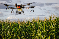 Mercado global de drones agrícolas deve superar R$ 23 bilhões até 2029