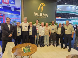 Grupo Mar e Terra busca apoio do Governo para expandir abates em Itaporã