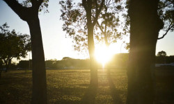 Inmet alerta sobre riscos da baixa umidade em MS e outros 5 estados