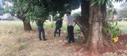 Homem é encontrado morto embaixo de árvore em Dourados