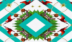 Editora UEMS lança obra com o tema Educação Ambiental