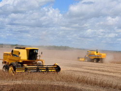 Valor Bruto da Produção Agropecuária em MS chega a quase R$ 60 bilhões