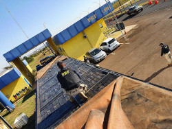 Preso com 2 toneladas de maconha, caminhoneiro ganharia R$ 50 mil