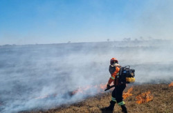 MS mantém mobilização para combate aos incêndios florestais em biomas