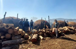 MS é quarto em resgate de trabalhadores em condição de escravidão