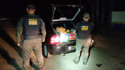 DOF e polícia do Paraná prendem rapaz com drogas, armas e munições