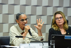 Marina pede marco para emergência climática e alerta para fim do Pantanal