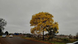 Frente fria muda o tempo e Dourados tem manhã nublada e com 15 graus