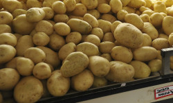 IPCA, índice que mede inflação oficial, tem deflação em agosto