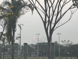 Tempo permanece quente e seco, com umidade entre 5% e 20% nesta quarta-feira