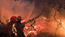Riedel promete "guerra" contra incêndios criminosos em Mato Grosso do Sul