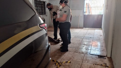 Homem é encontrado morto em casa abandonada na Vila Industrial