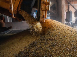 Após seis anos em alta, valor da produção agrícola cai 2,3% em 2023