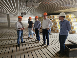 MS está credenciado a abrigar Projeto de Genética Suína para o Centro-Oeste