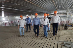 MS está credenciado a abrigar projeto de genética suína para o Centro-Oeste