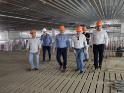 MS está credenciado a abrigar projeto de genética suína para o Centro-Oeste