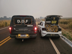 Polo furtado em SP é recuperado com uma tonelada de maconha