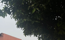 Fim de semana tem aumento de nebulosidade e possibilidade de chuvas em MS