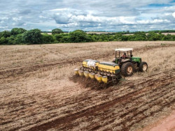Início do plantio de soja deve atrasar em Mato Grosso do Sul, aponta técnico