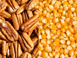 Brasil celebra aberturas de mercado em Angola, Austrália, Canadá e Tailândia