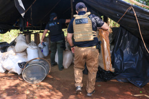 Maconha ‘premium’ produzida para o mercado brasileiro é destruída na fronteira
