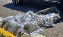 Homem e mulher são presos com pacotes de skank dentro do mesmo ônibus