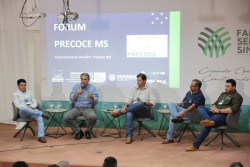 Novilhos precoces respondem por 40% do total de abates de bovinos nas indústrias