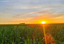 Estresse hídrico impactou mais de 90% dos municípios de MS