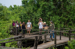 MS implementa sistema de gestão de três regiões turísticas
