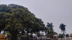 Quinta-feira tem possibilidade de chuva em diferentes regiões de Mato Grosso do Sul